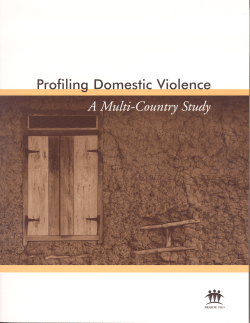 Profiling Domestic Violence &ndash; A Multi-Country