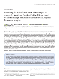 Examining the Role of the Human Hippocampus in Approach