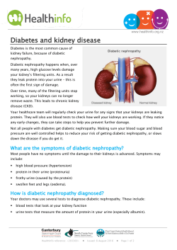 Diabetes and kidney disease