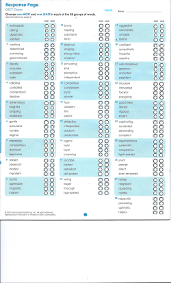 DISC Personality Style Questions