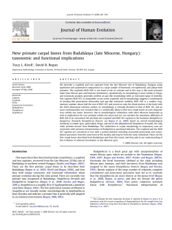 New primate carpal bones - Anthropology