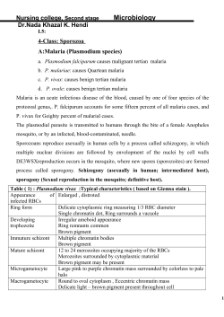 4-Class: Sporozoa A:Malaria