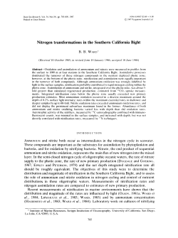 Nitrogen transformations in the Southern California Bight