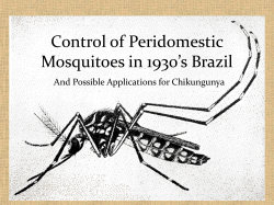 Control of Peridomestic Mosquitoes in 1930`s Brazil