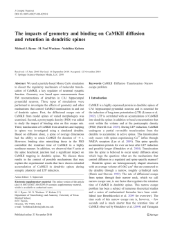 The impacts of geometry and binding on CaMKII diffusion and