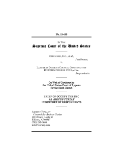 Amicus Brief - Occupy the SEC