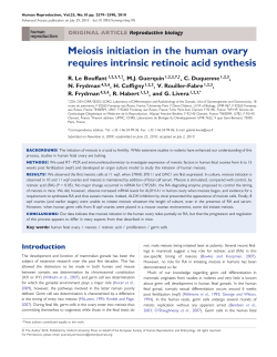 Meiosis initiation in the human ovary requires