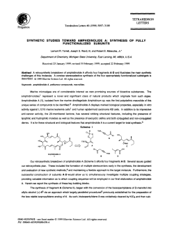 synthetic studies toward amphidinolide a
