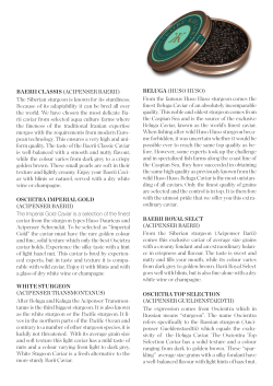 HUSO HUSO - Fiskerikajen