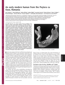 An early modern human from the Pes&cedil;tera cu Oase, Romania