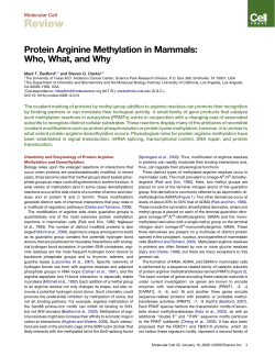 Protein Arginine Methylation in Mammals