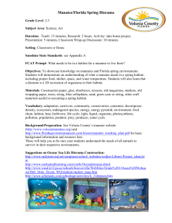 Manatee/Florida Spring Diorama