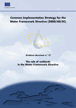 The Role of Wetlands in the Water Framework Directive