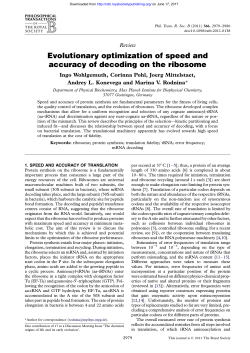Evolutionary optimization of speed and accuracy of decoding on the