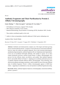 Antibody Fragments and Their Purification by Protein L Affinity
