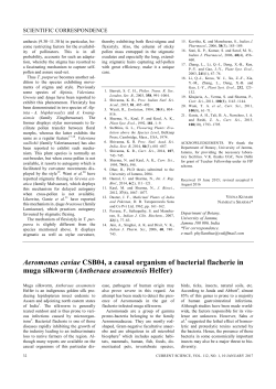 Aeromonas caviae CSB04, a causal organism of bacterial flacherie