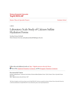 Laboratory Scale Study of Calcium Sulfate - TopSCHOLAR