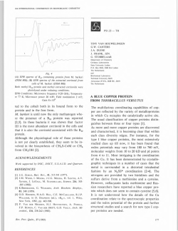ted to the cobalt both in its bound form to the protein and in the free