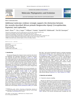 Additional molecular evidence strongly supports the