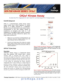 CK2 alpha 1 Kinase Enzyme Protocol
