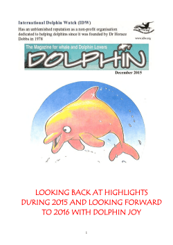 Christmas Newsletter 2015 - International Dolphin Watch