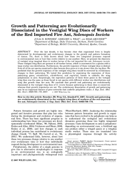 Growth and patterning are evolutionarily dissociated in the vestigial