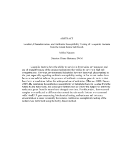 ABSTRACT Isolation, Characterization, and Antibiotic Susceptibility
