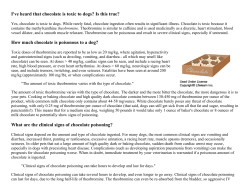 I`ve heard that chocolate is toxic to dogs? Is this true? How much