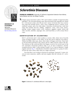 Sclerotinia Diseases - ANR Catalog