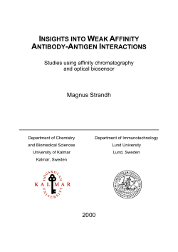 INSIGHTS INTO WEAK AFFINITY ANTIBODY