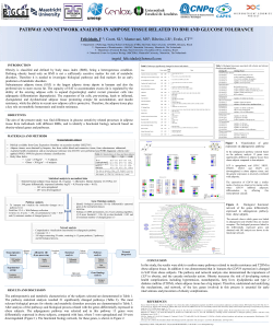 pathway and network analysis in adipose tissue related to