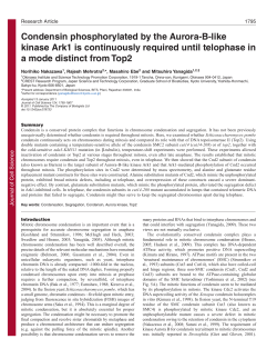Condensin phosphorylated by the Aurora-B