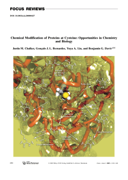 Chemical Modification of Proteins at Cysteine