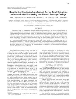 Quantitative Histological Analysis of Bovine Small Intestines before