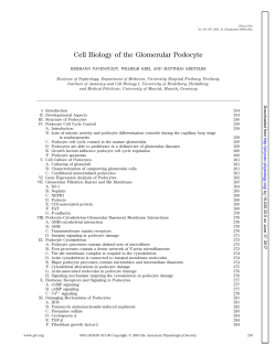 Cell Biology of the Glomerular Podocyte