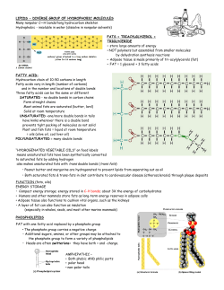 Lipids - Speedway High School