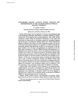 CYTOCHROME OXIDASE ACTIVITY DURING DIAPAUSE AND