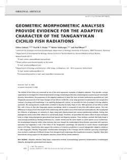 geometric morphometric analyses provide evidence for