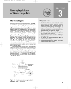 Neurophysiology of Nerve Impulses
