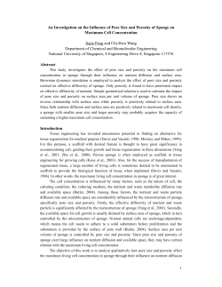 An Investigation on the influence of pore size and porosity of