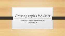 Growing apples for Cider - Northwest Cider Association