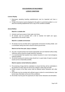 Dog boarding conditions