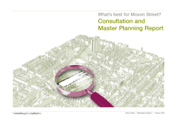 Consultation and Master Planning Report