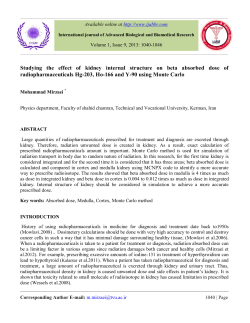 Studying the effect of kidney internal structure on beta absorbed