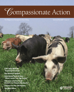 Compassionate Action - Compassion Over Killing