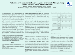 Nodulation of Common and Endangered Legumes by