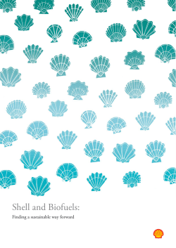 Shell And Biofuels