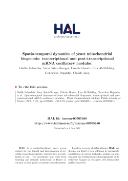 Spatio-temporal dynamics of yeast mitochondrial biogenesis