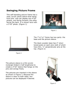 Swinging Picture Frame