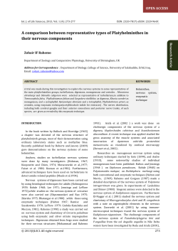 A comparison between representative types of Platyhelminthes in